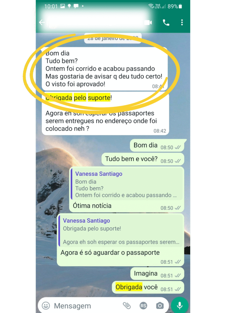 LV VISTOS E CIDADANIAS - Suporte Completo para a Solicitação do Seu Visto Americano e de Qualquer nacionalidade